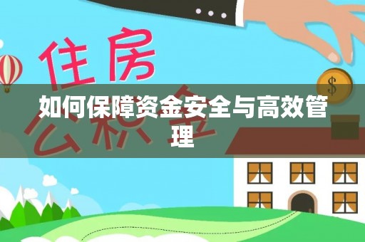 德州如何保障资金安全与高效管理