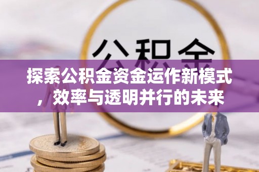 德州探索公积金资金运作新模式，效率与透明并行的未来