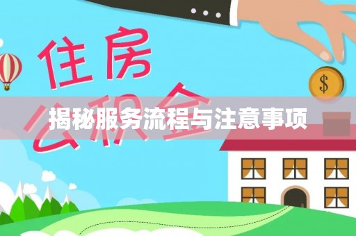 德州揭秘服务流程与注意事项
