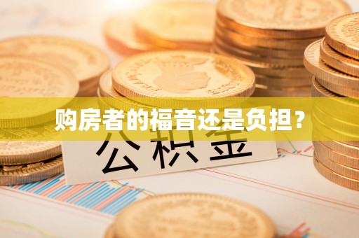 德州购房者的福音还是负担？