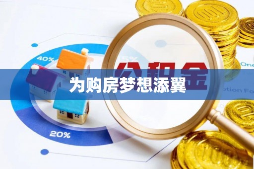 德州为购房梦想添翼