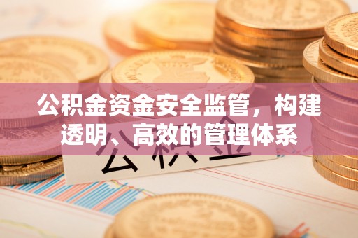 德州公积金资金安全监管，构建透明、高效的管理体系