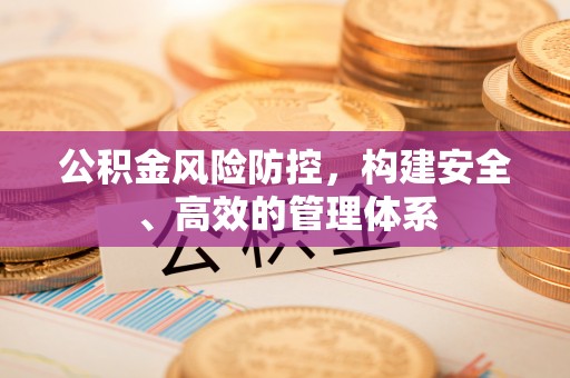 德州公积金风险防控，构建安全、高效的管理体系