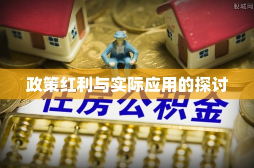 德州政策红利与实际应用的探讨