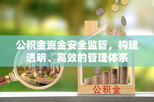 德州公积金资金安全监管，构建透明、高效的管理体系
