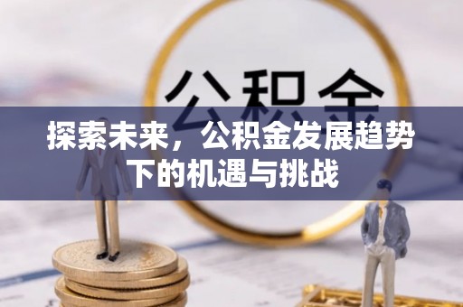 德州探索未来，公积金发展趋势下的机遇与挑战