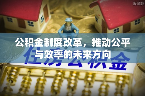 德州公积金制度改革，推动公平与效率的未来方向