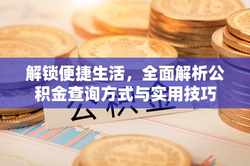 德州解锁便捷生活，全面解析公积金查询方式与实用技巧