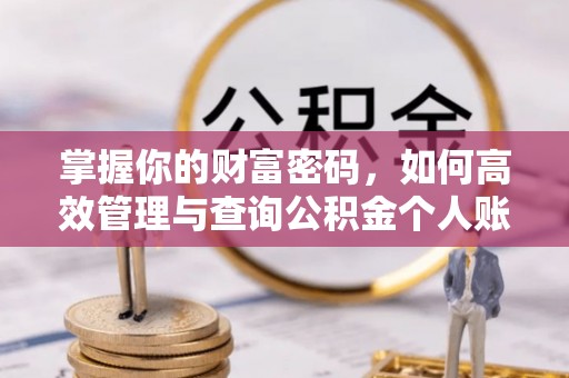 德州掌握你的财富密码，如何高效管理与查询公积金个人账户信息