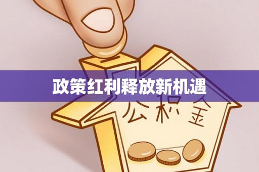 德州政策红利释放新机遇