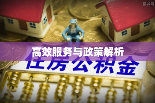 德州高效服务与政策解析
