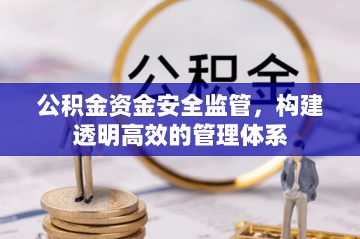 德州公积金资金安全监管，构建透明高效的管理体系