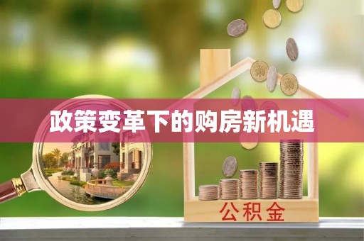 德州政策变革下的购房新机遇