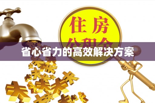 德州省心省力的高效解决方案