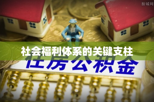 德州社会福利体系的关键支柱