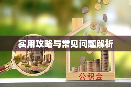 德州实用攻略与常见问题解析