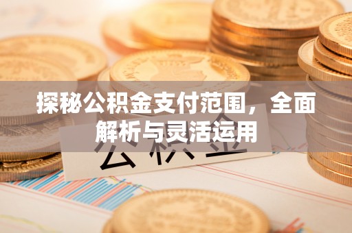 德州探秘公积金支付范围，全面解析与灵活运用