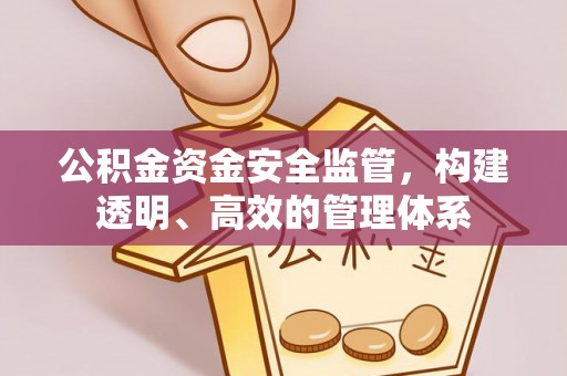 德州公积金资金安全监管，构建透明、高效的管理体系