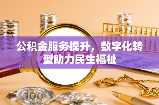 德州公积金服务提升，数字化转型助力民生福祉