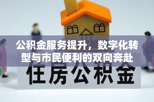 德州公积金服务提升，数字化转型与市民便利的双向奔赴