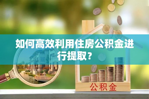 德州如何高效利用住房公积金进行提取？