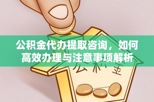 德州公积金代办提取咨询，如何高效办理与注意事项解析
