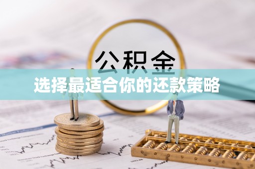 德州选择最适合你的还款策略