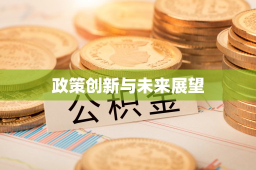 德州政策创新与未来展望