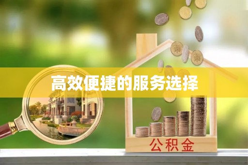 德州高效便捷的服务选择
