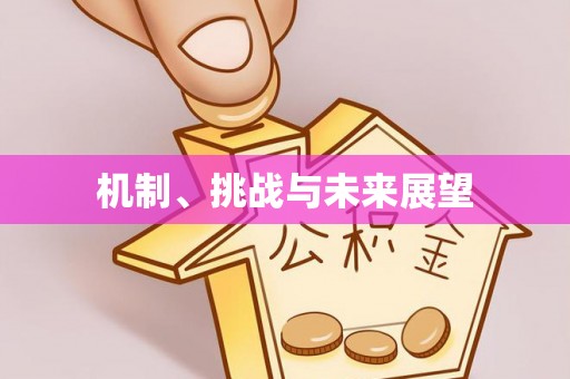 德州机制、挑战与未来展望